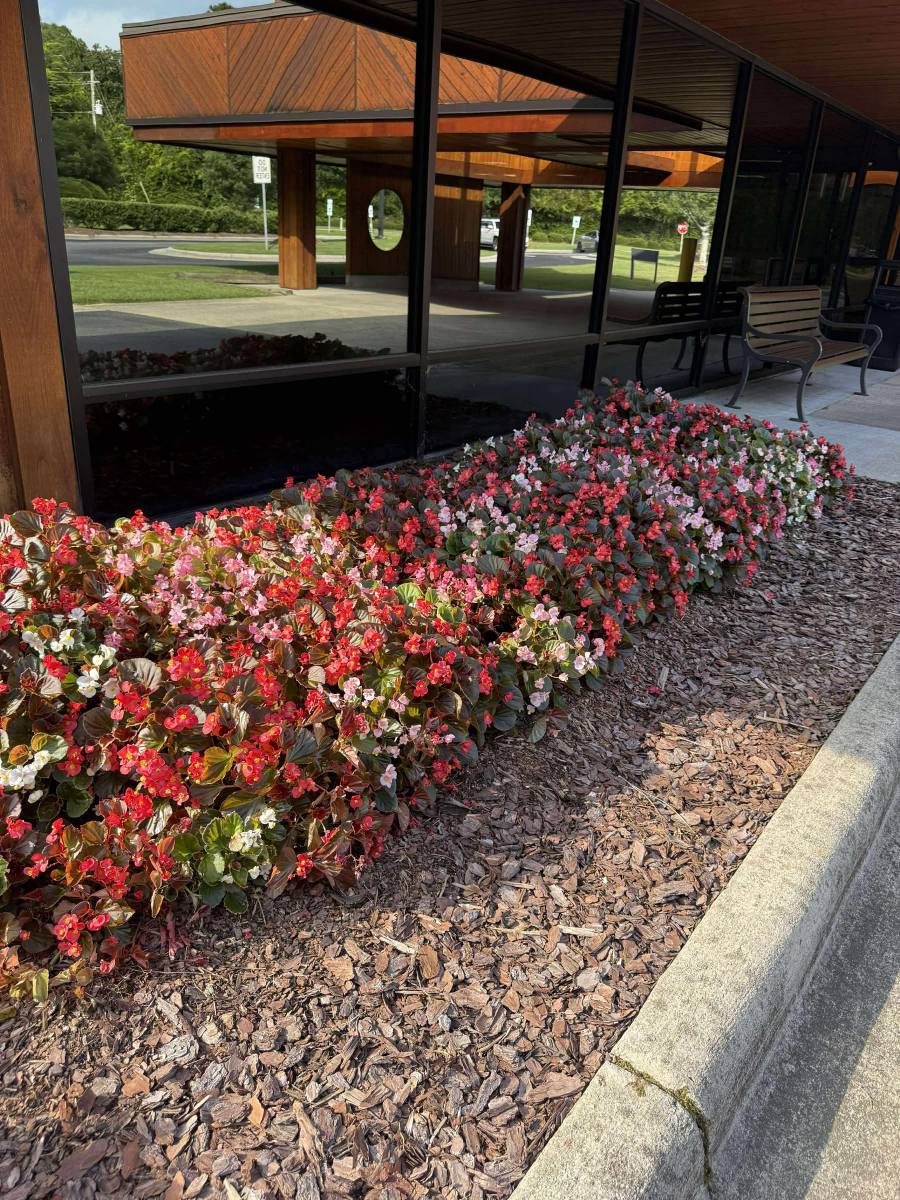 Flower bed installation