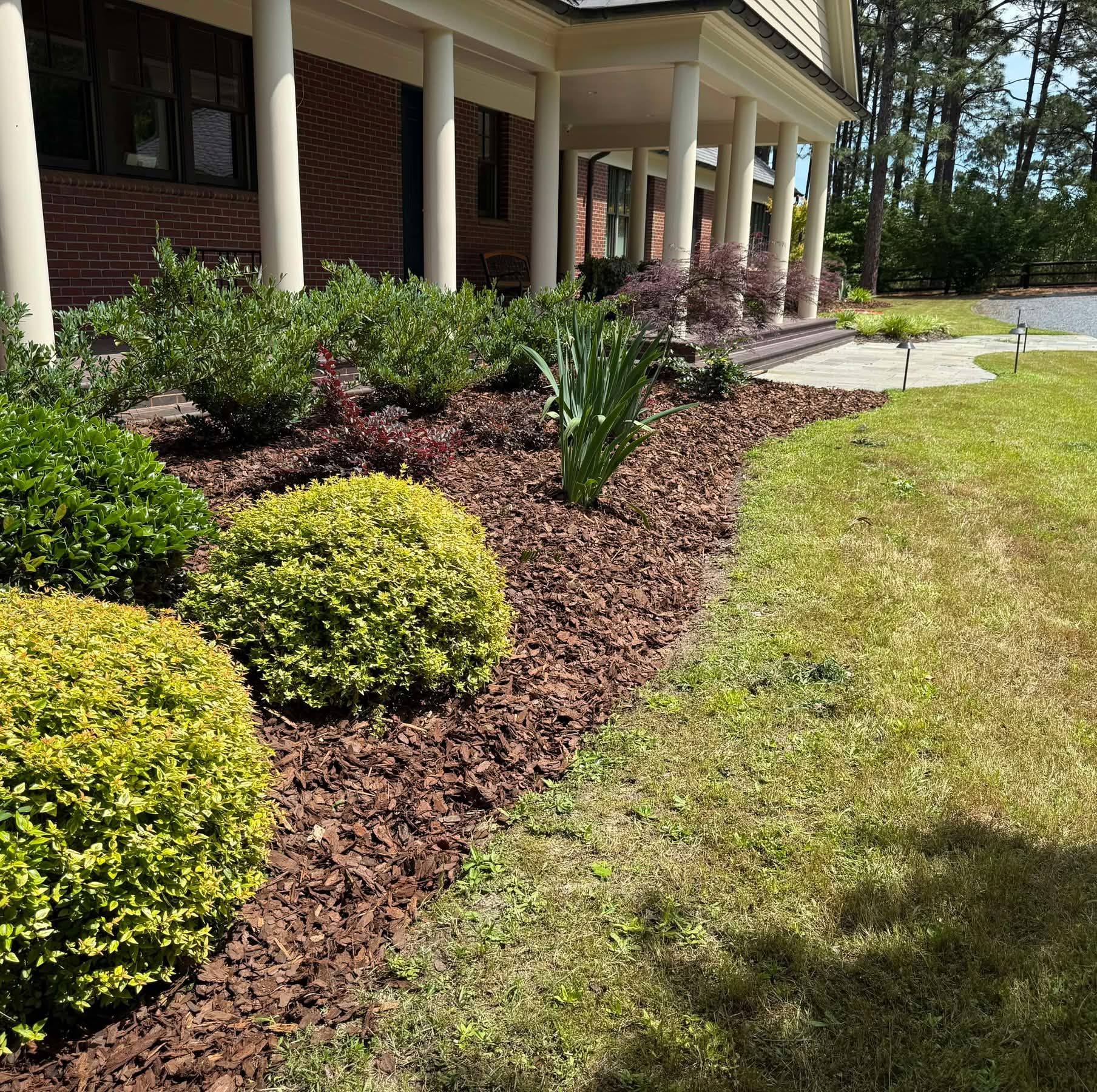 Professional mulch and shrub landscaping