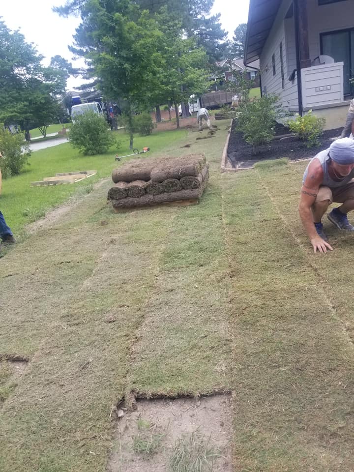 Front yard sod installation