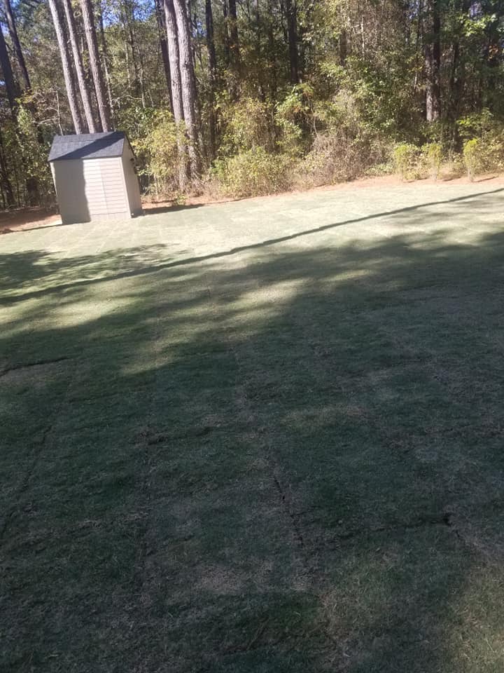 Fresh sod lawn installation