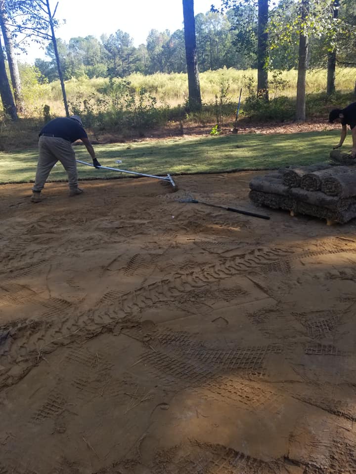 Sod laying in progress on prepared soil