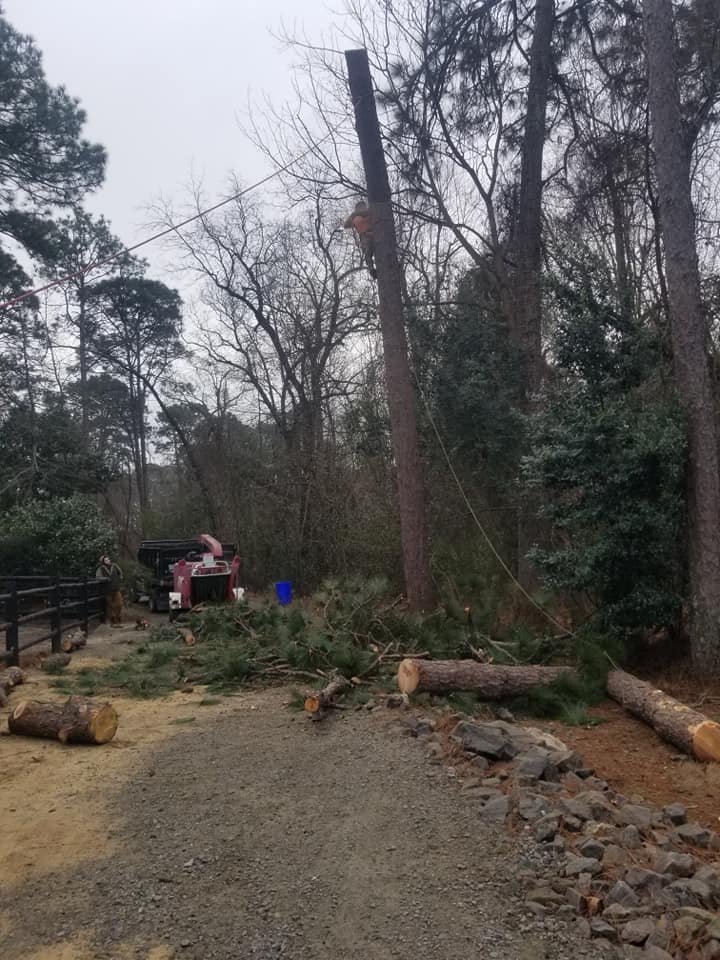 Tree removal and chipping service