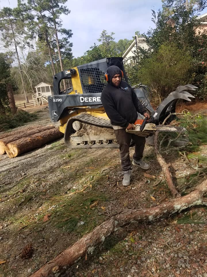 Tree removal with heavy equipment